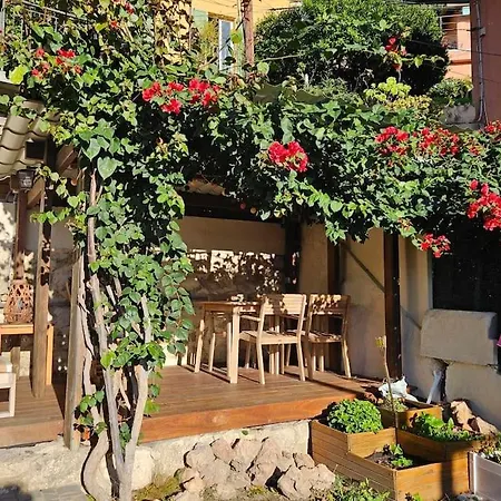 Mont Boron Vue Mer Avec Jardin Apartment *